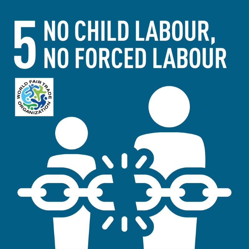 World Day Against Child Labour and International Year for the Elimination of Child Labour 2021 - Sabeena Z Ahmed