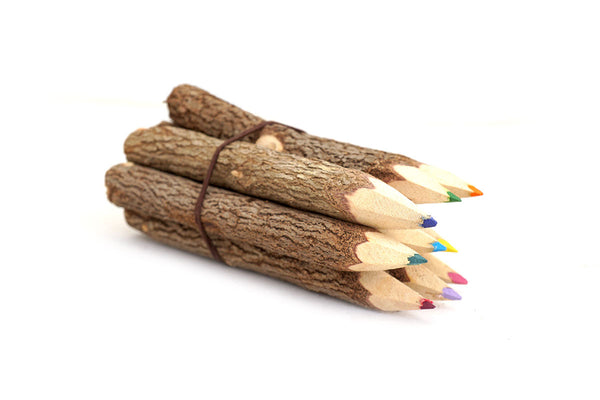Eco-twig-childrens-colouring-pencils